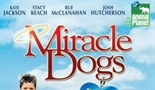 MIRACLE DOGS