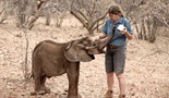 Namibija, utočište divova