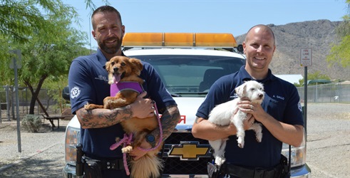 Živalska policija iz Phoenixa