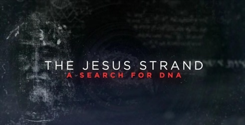 Isusov niz: Potraga za DNK