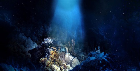 Život 2000 metara ispod mora