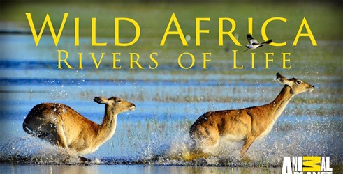 Divlja Afrika: Rijeke života