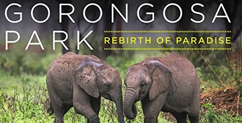 Park Gorongosa - Preporod raja