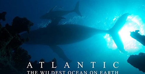 Atlantik - najdivlji okean na zemlji