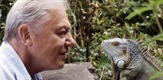 Attenborough u devedesetima: Iza kamere