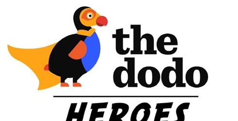 Heroji organizacije Dodo