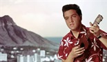 Elvis Presley: Iskalec, 1. del 