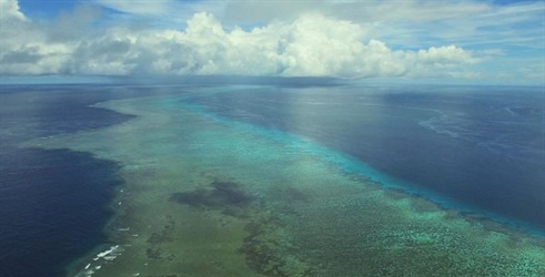Ispod površine - Veliki koraljni greben