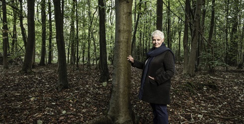 Judy Dench: Strast za drvećem 