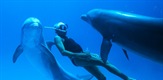 Čovjek delfin