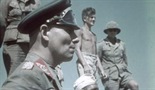 Nacisti pod dejstvom droga: Hitler i blickrig