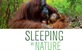 Spavanje u prirodi