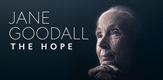 Jane Goodall: Nada