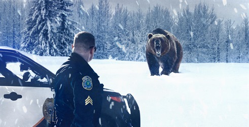 Policija Aljaske