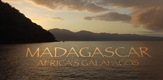 Madagaskar: Galapagos Afrike