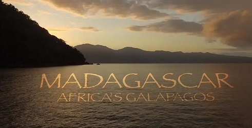 Madagaskar: Galapagos Afrike