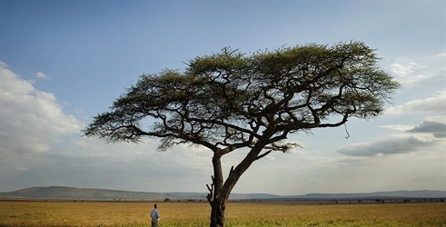 Pravila Serengetija
