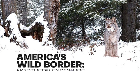 Divlja granica Amerike: severni deo