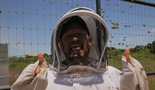 Čarlijeva kompanija za pčele