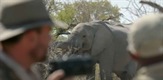 Šetnja sa slonovima
