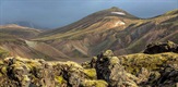 Prirodni svijet - Island: Divlji život