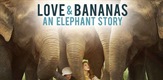 Love & Bananas / Love & Bananas - An Elephant Story