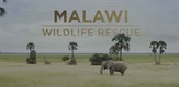 Spašavanje divljih životinja u Malaviju