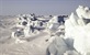 Arktik - Antarktik