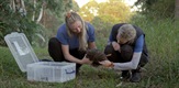 Tim za spašavanje australskih divljih životinja