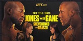 UFC 285 Jones vs Gane