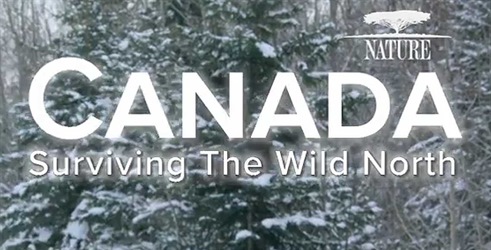 Kanada: Preživetje na divjem severu