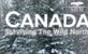 Kanada: Opstanak na divljem sjeveru