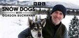 Snježni psi: Put u divljinu