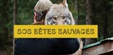Wildlife Rescue / Sos bêtes sauvages