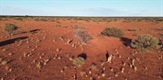 Australija na rubu klimatske propasti