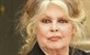 Brigitte Bardot: Zaštite slonove ili i ja odlazim u Rusiju!