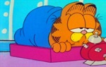 Garfield i prijatelji