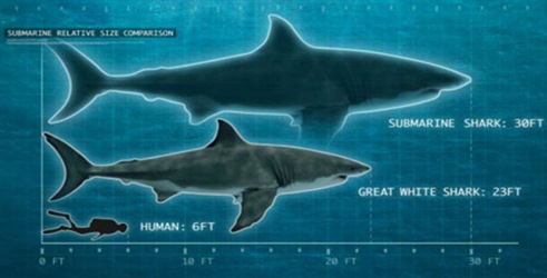 Shark of Darkness: Wrath of the Submarine
