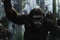 'Planet majmuna: Revolucija' – stigao prvi trailer!