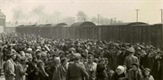 Auschwitz: Putovanje u pakao