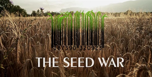 Rat za seme