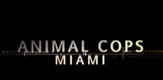 Policija za životinje - Miami