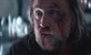 Triler drama "Pig" Nicolasa Cagea stigla na streaming