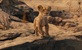 Disney predstavio teaser trailer za "Mufasa: The Lion King"