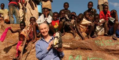 Životni put Jane Goodall