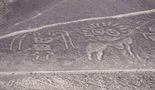 Dekodirane Nazca linije