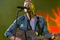 Coldplay uzimaju dugogodišnju pauzu