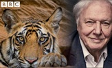 David Attenborough sprema novu dokumentarnu seriju