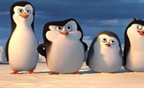Upoznajte mlade Pingvine s Madagaskara!