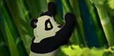 Mala velika panda
